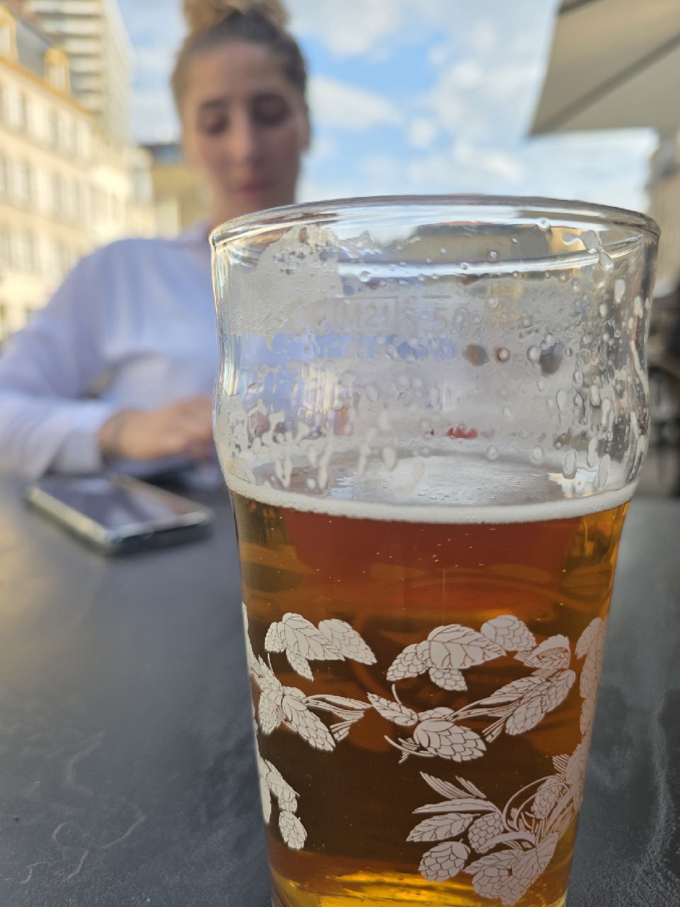 Goose Island IPA, Goose Island Beer Company (AB-InBev)