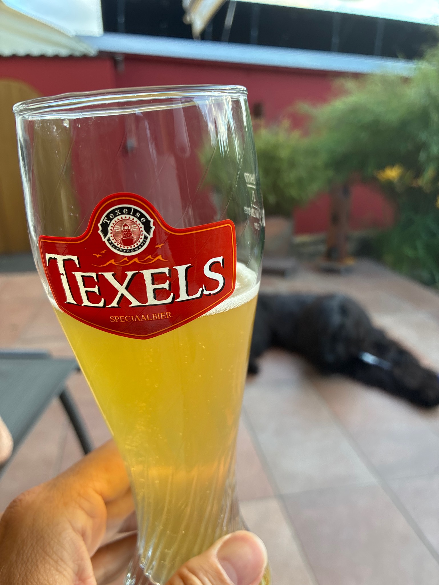 Mittsommer-Wit, Germany
