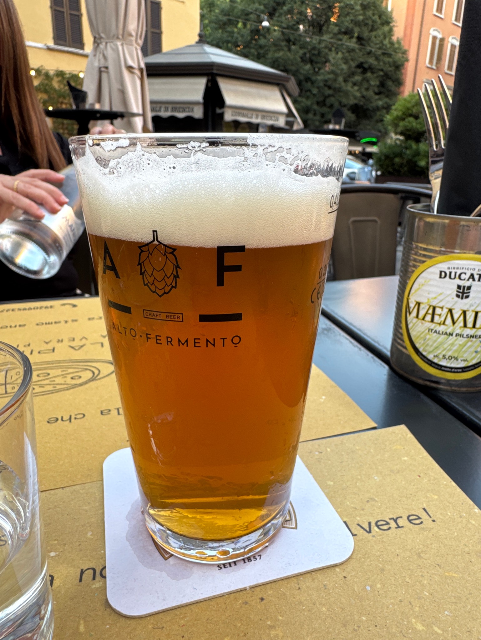 Goose Island IPA, Goose Island Beer Company (AB-InBev)