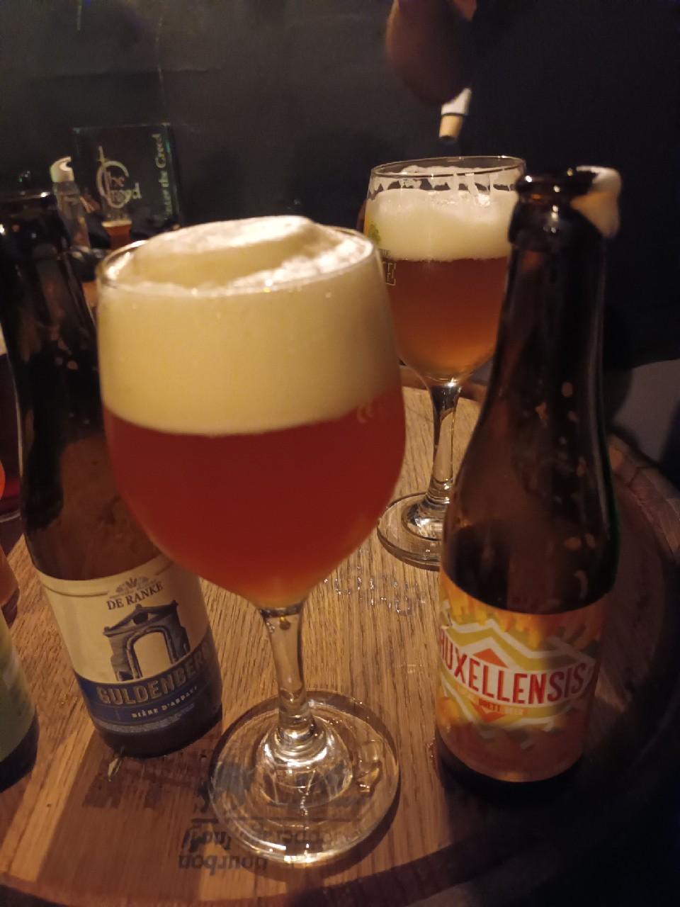 Bruxellensis, Belgium