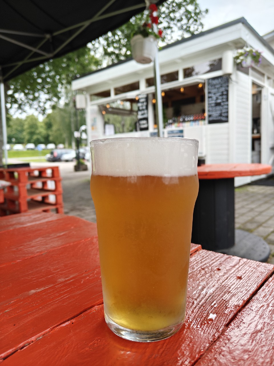 Jenkkivehnä, Finland