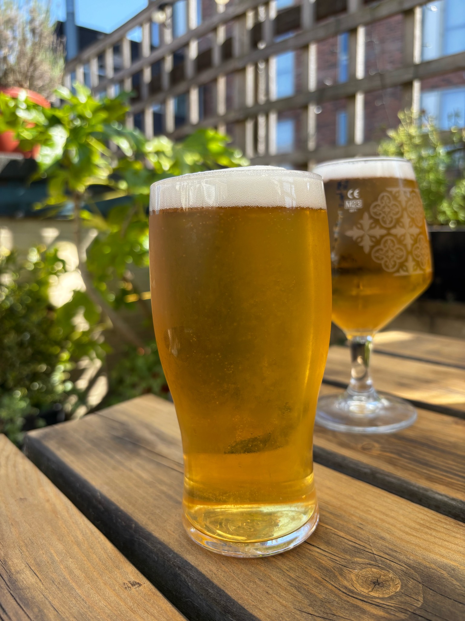 Hazy Pale, Blue Monkey Brewery