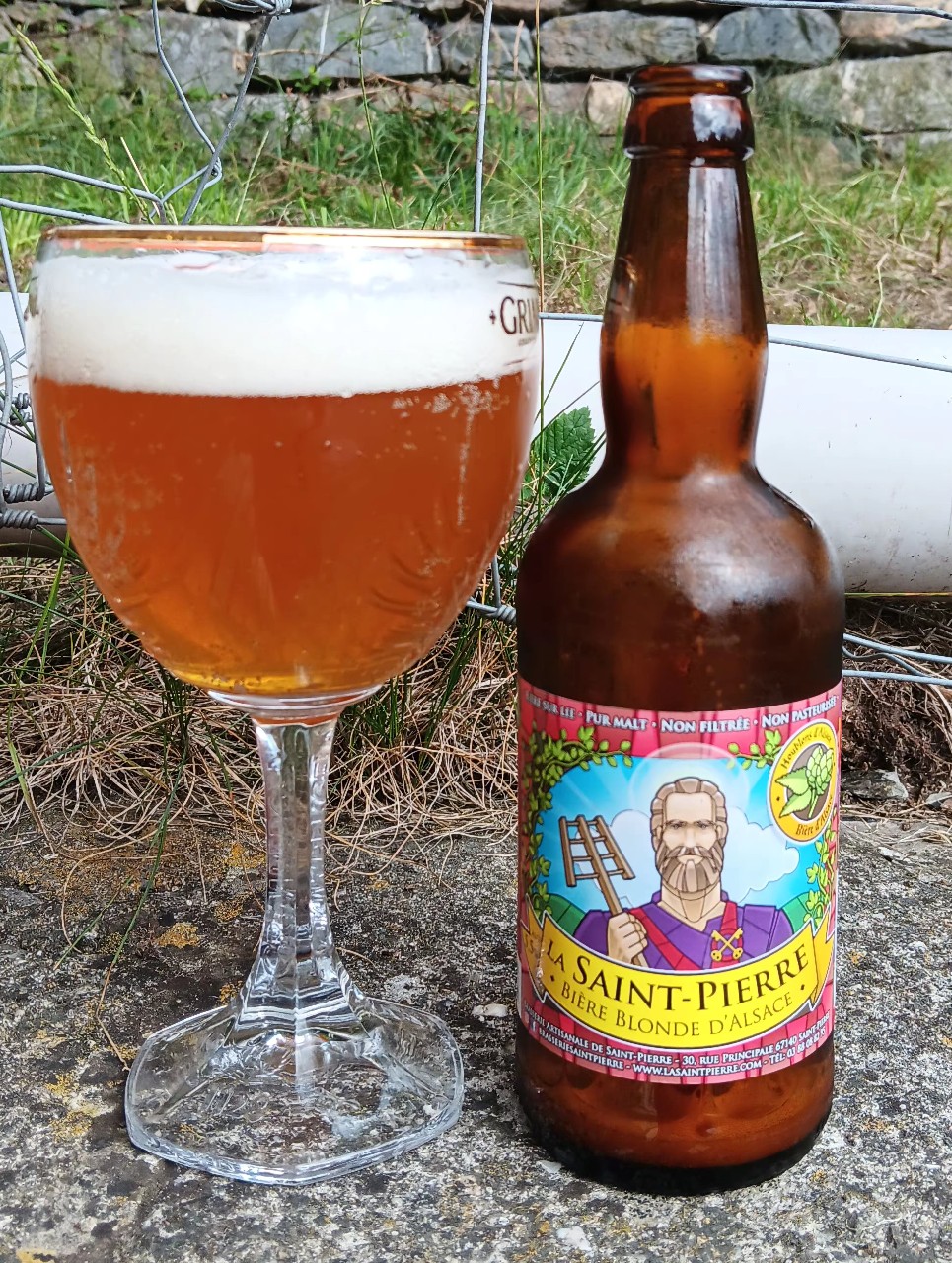 La Saint-Pierre Blonde, France