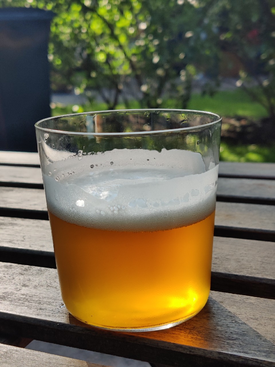 Lemon Thyme Pale Ale, Lithuania