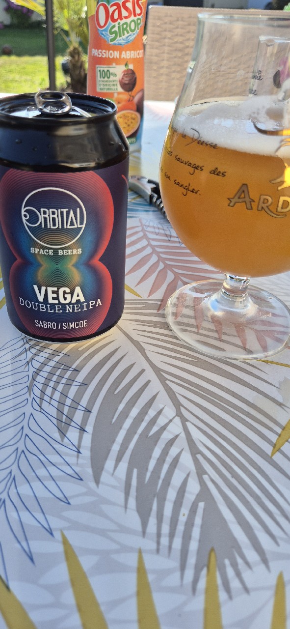 Double NEIPA Sabro - Simcoe, Orbital Space Beers
