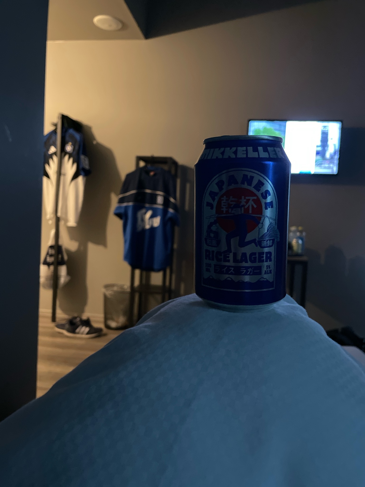Japanese Rice Lager, Denmark