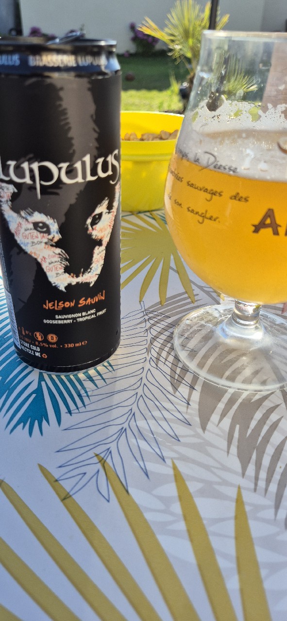 lupulus dry hop nelson sauvin 2025, Belgium