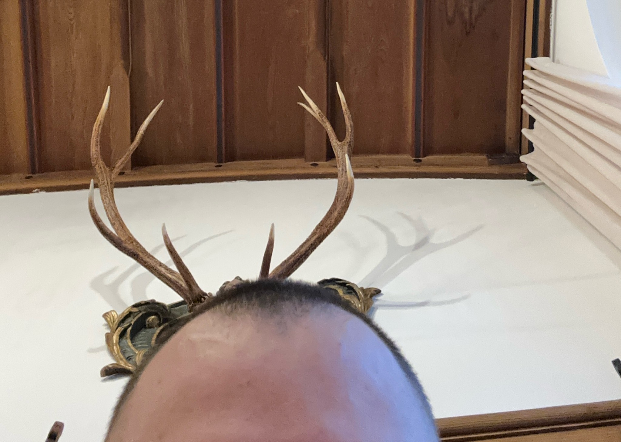 Stiegl Paracelsus Bio-Zwickl, Austria