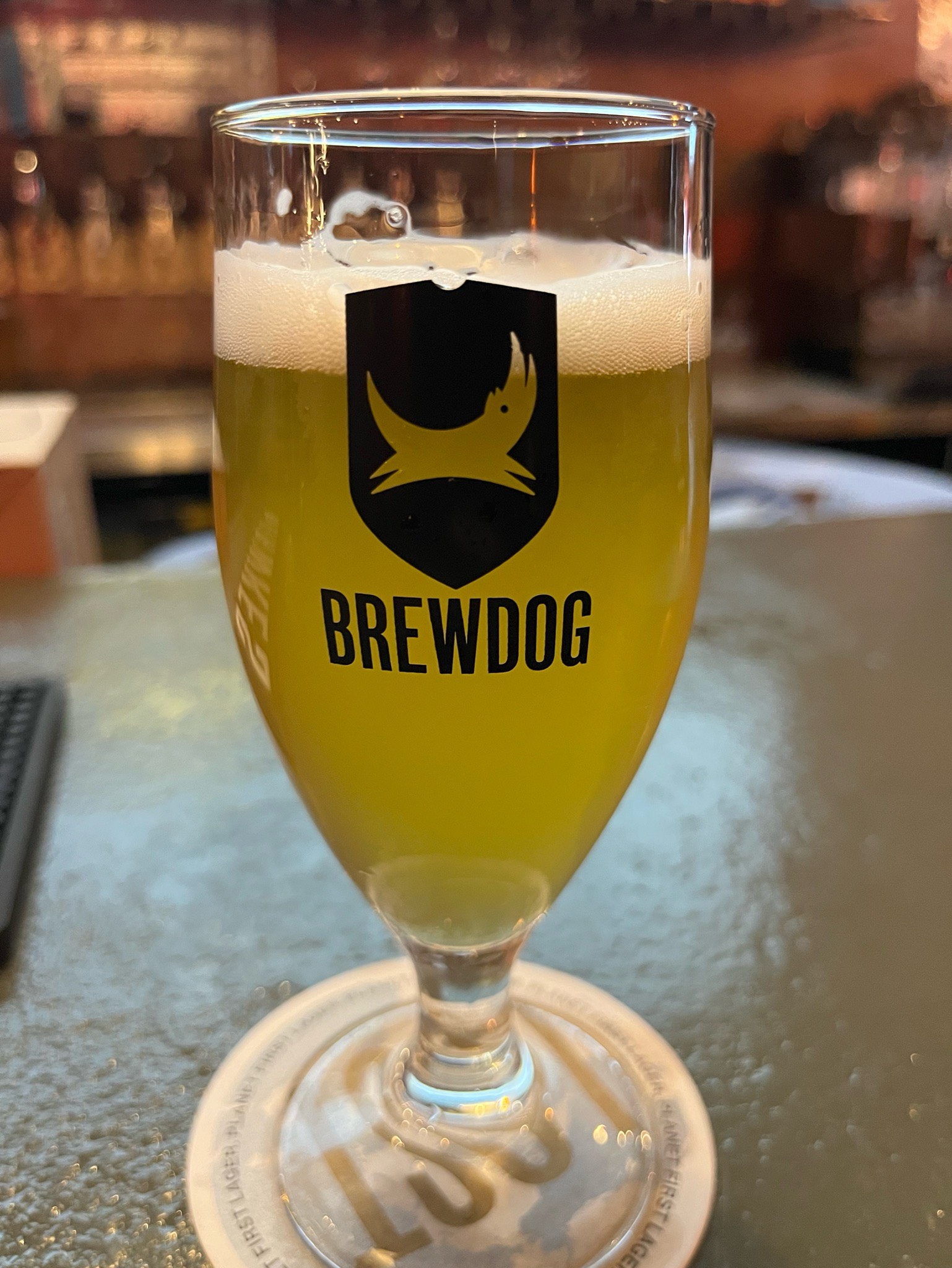 Pilot #49 Berlin Gosling, Germany