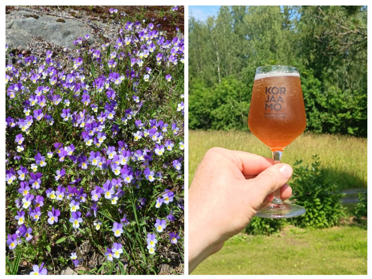 Small Beer: Heart's Ease, Teva Brew