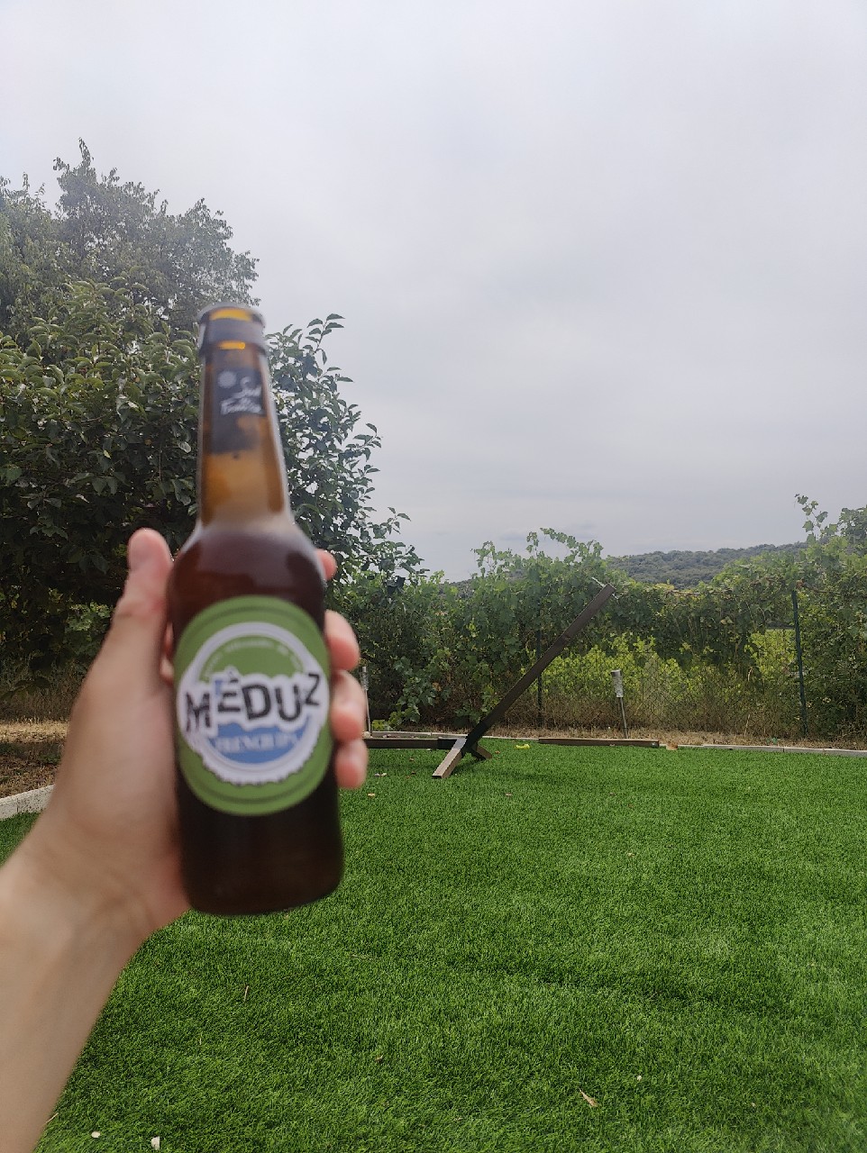 Méduz French IPA, Brasserie Artisanale Méduz