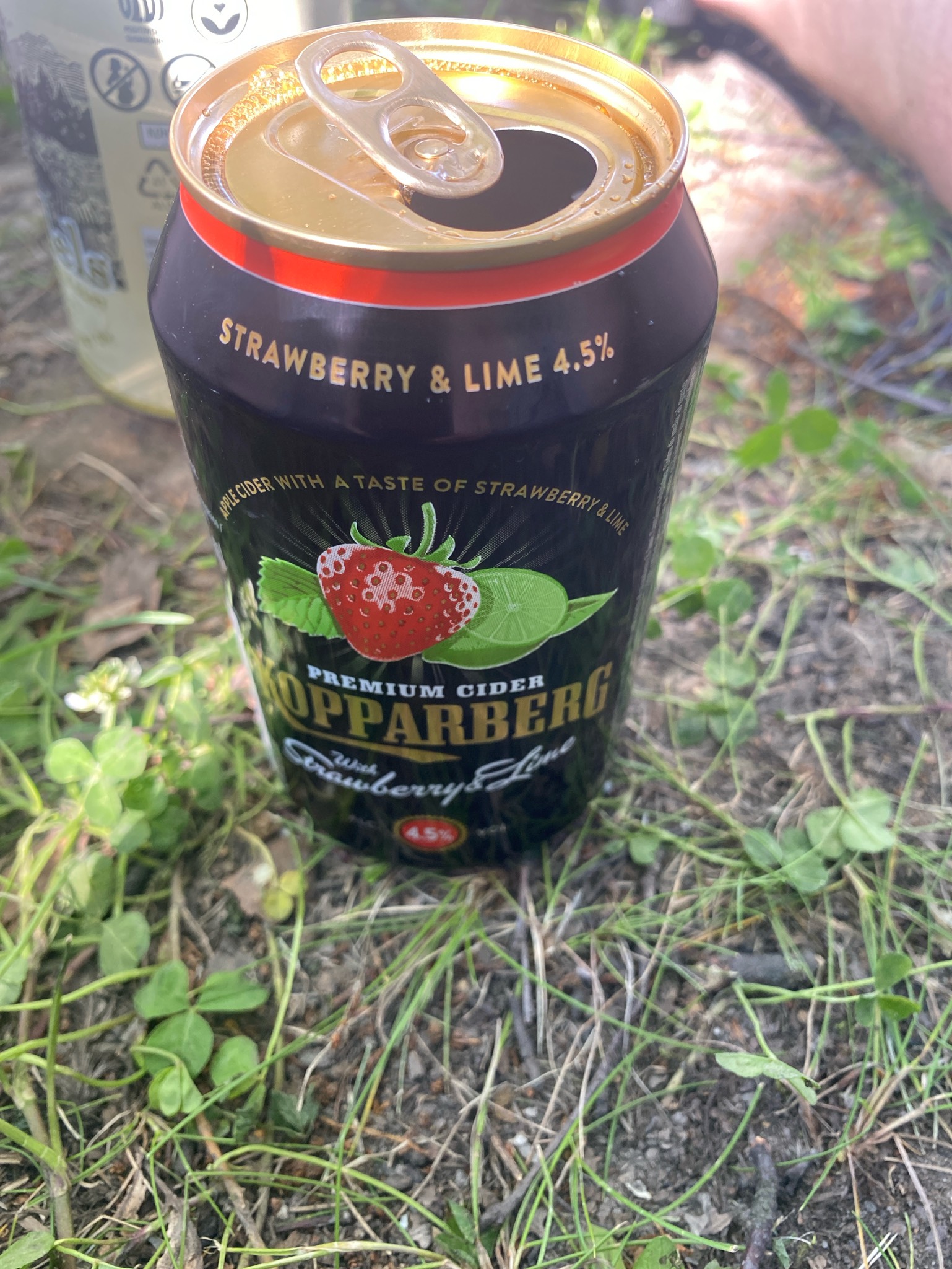 Kopparberg Strawberry & Lime, Sweden
