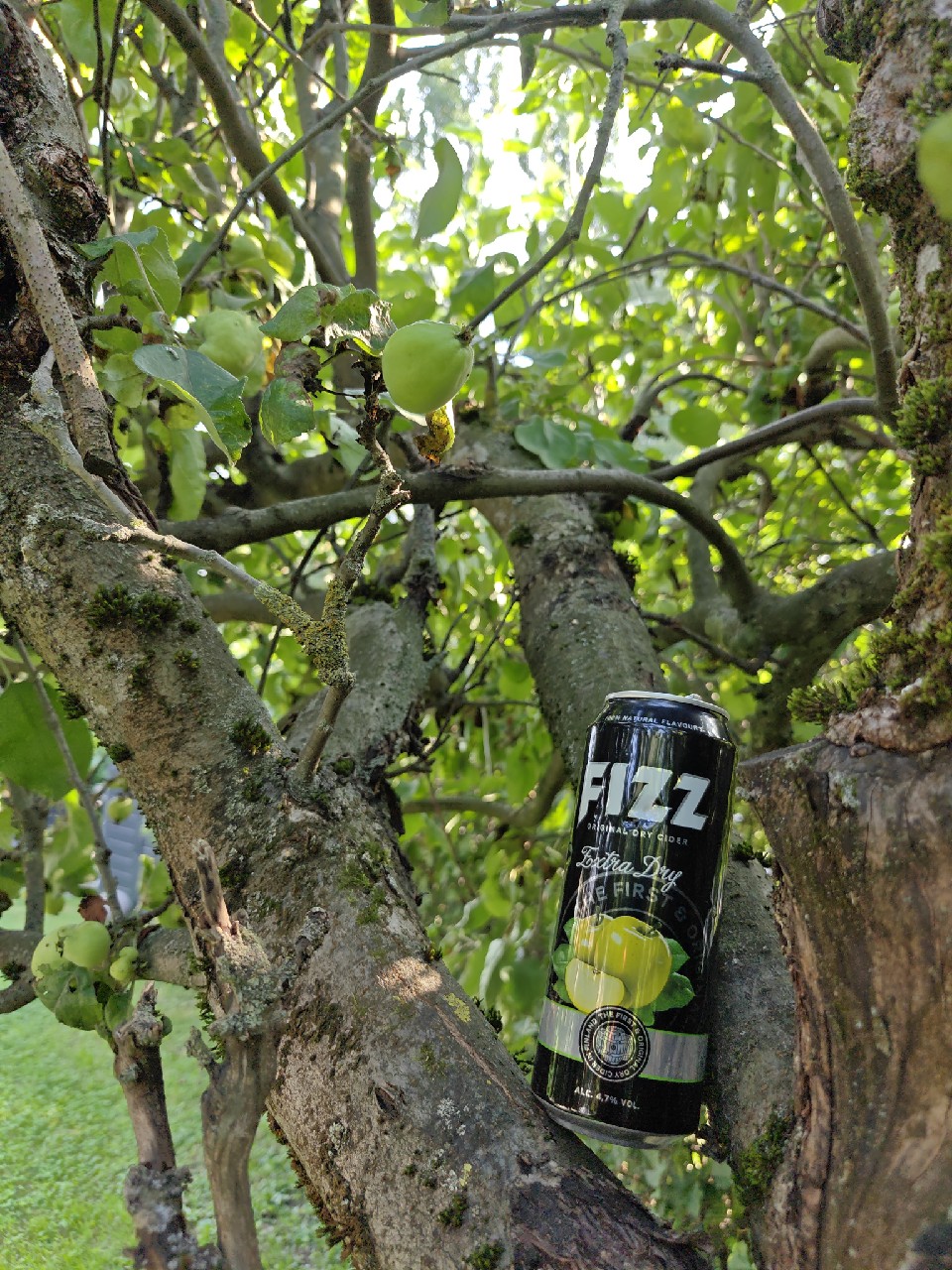 Fizz Extra Dry, Finland