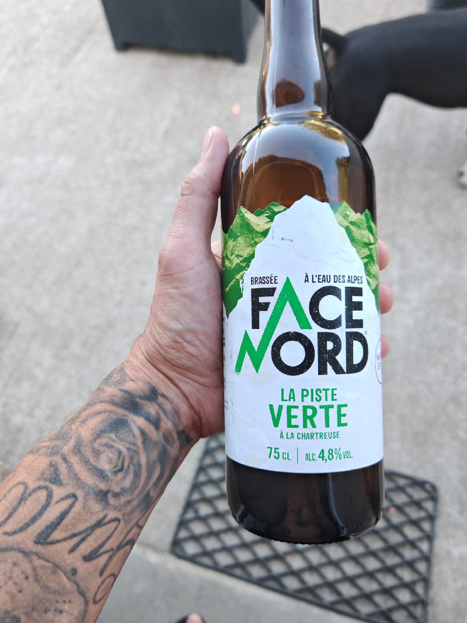 Face Nord La Piste Verte, France