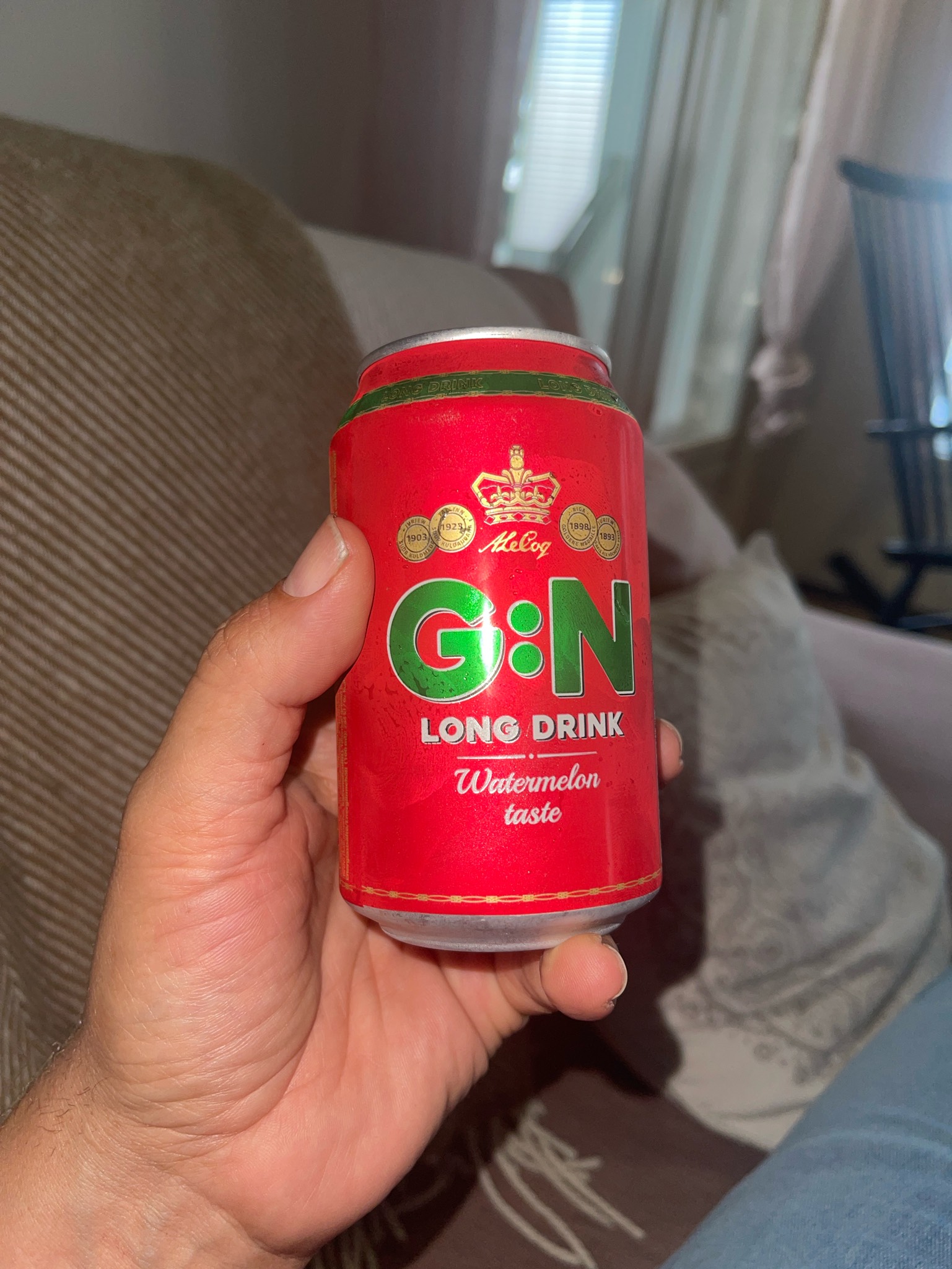 G:N Long Drink Watermelon Taste, A. Le Coq (Olvi)