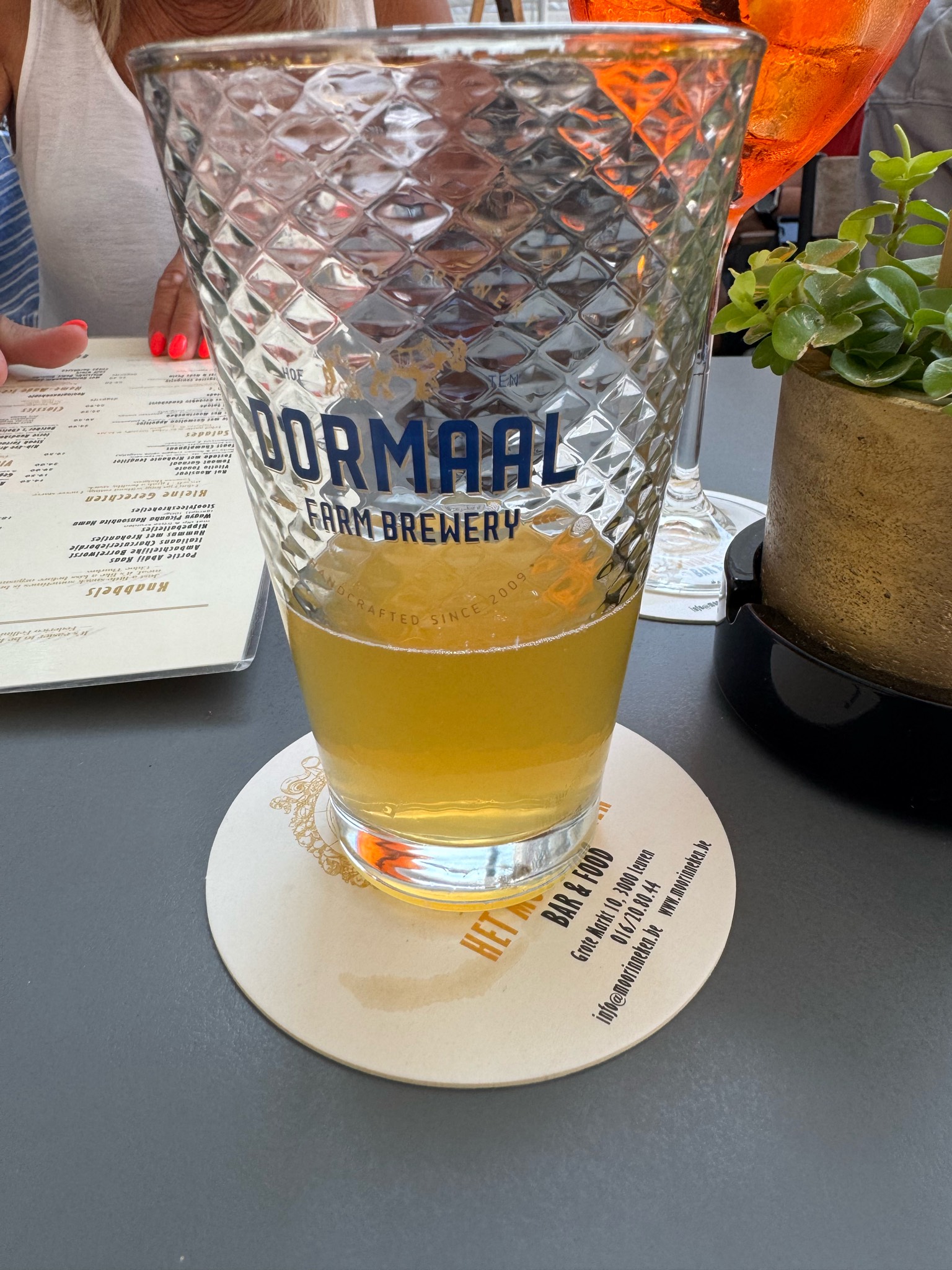 Dormaal, Brouwerij Hof ten Dormaal