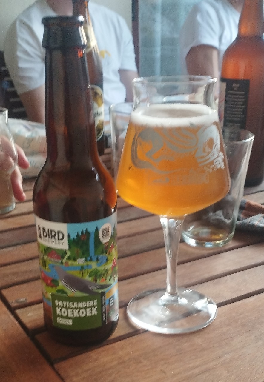 Datisandere Koekoek, Netherlands