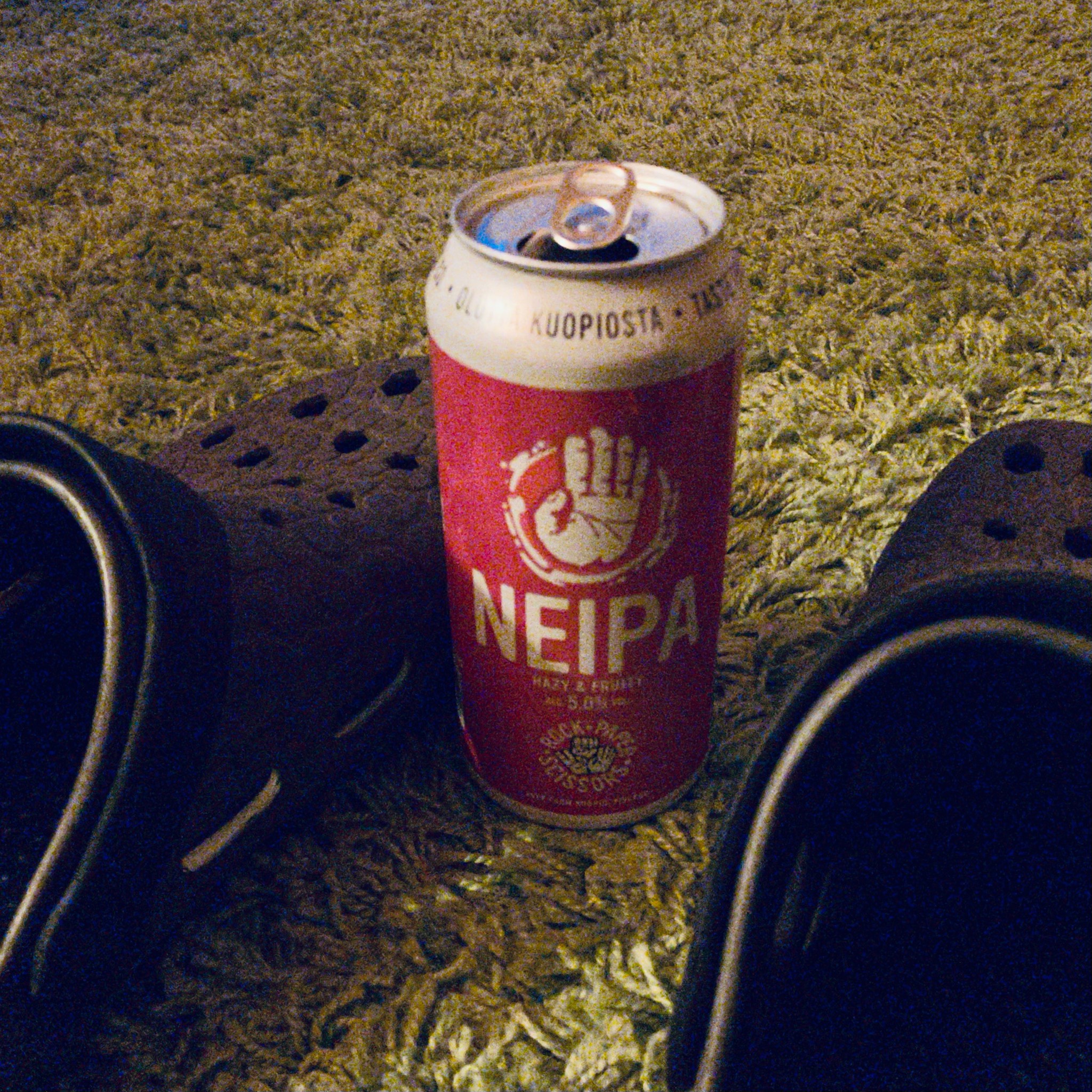 Paper NEIPA, Finland