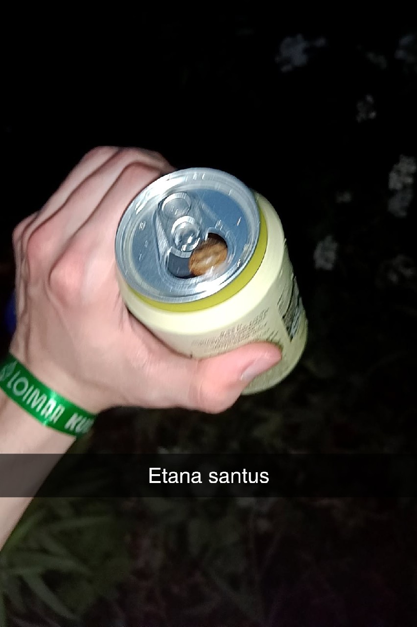 Sandels Vehnäolut, Finland