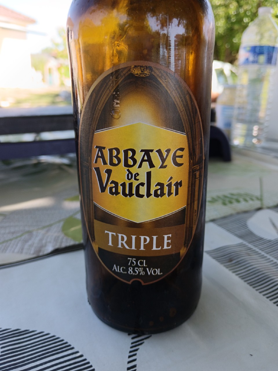 Abbaye De Vauclair - Triple, France