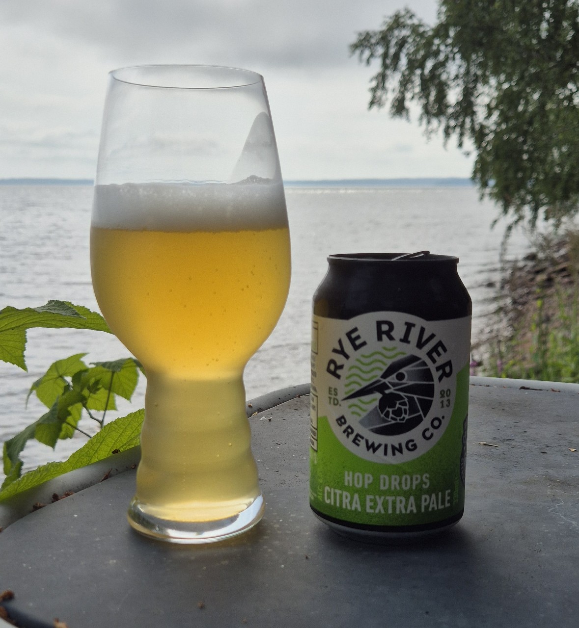 Hop Drops Citra Extra Pale, Ireland