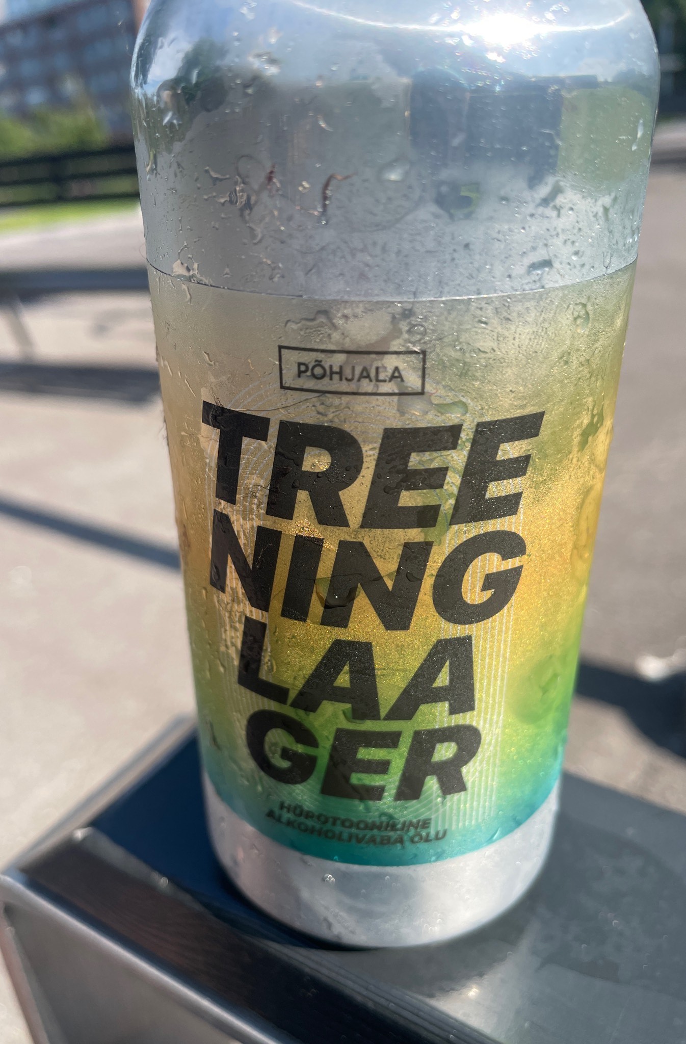 Treeninglaager, Estonia