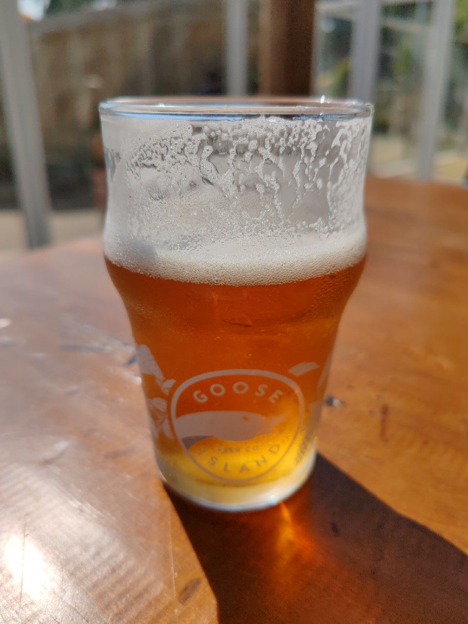 Goose Island IPA, Goose Island Beer Company (AB-InBev)