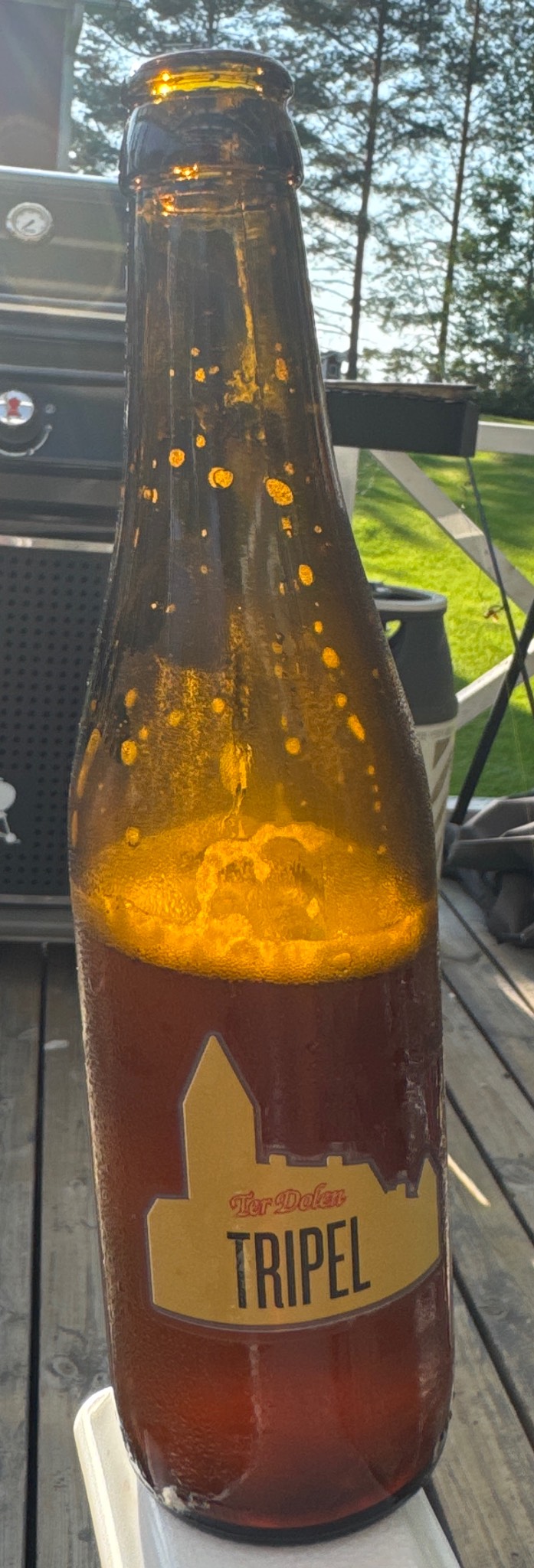 Ter Dolen Tripel, Brouwerij Ter Dolen