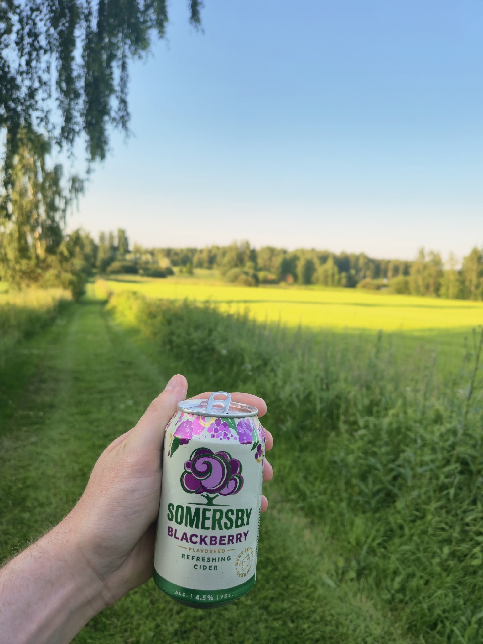 Somersby Blackberry, Denmark