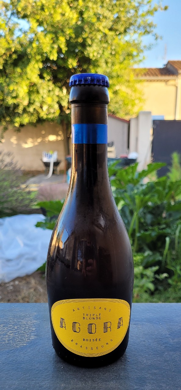 AGORA Triple Blonde, AGORA