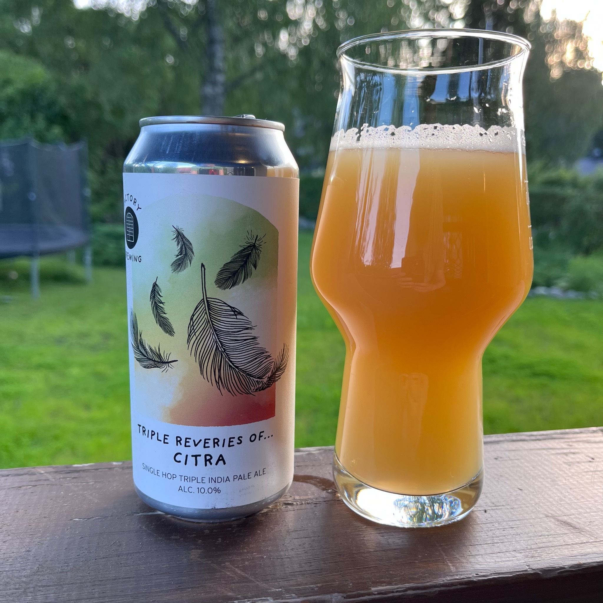 Triple Reveries of... Citra, Finland