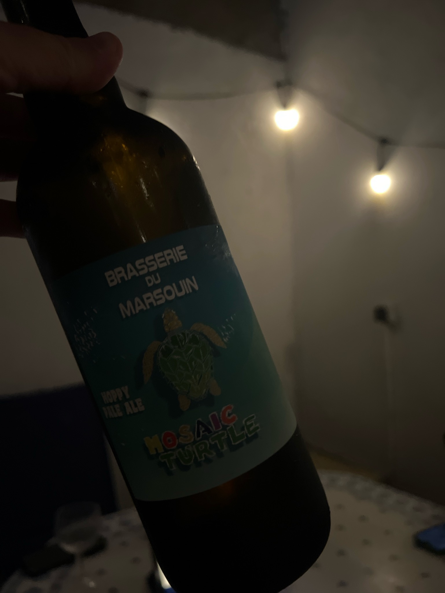 Mosaic turtle, France