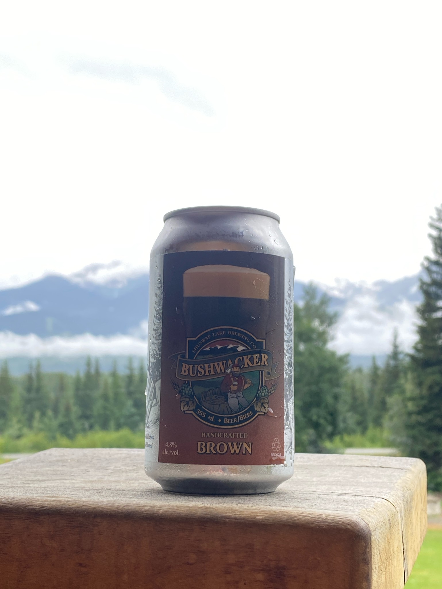 Bushwacker Brown Ale, Barley Station Brew Pub (Shuswap Lake Brewing Company)