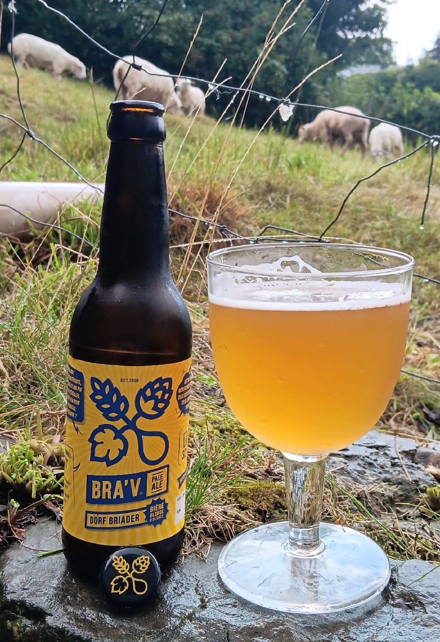 Pale Ale - Dorf Briader, France