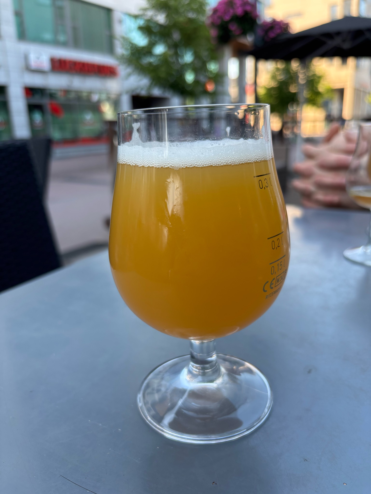 Soup DIPA, Spain