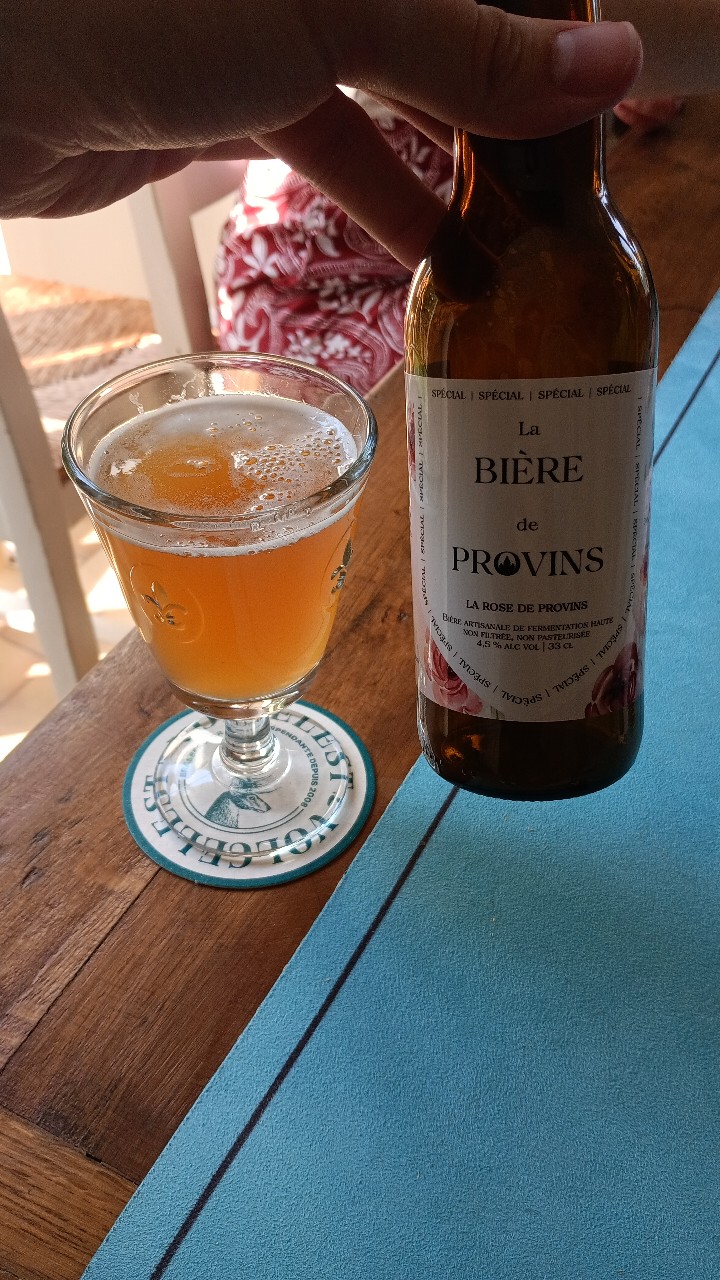 La rose de Provins, France