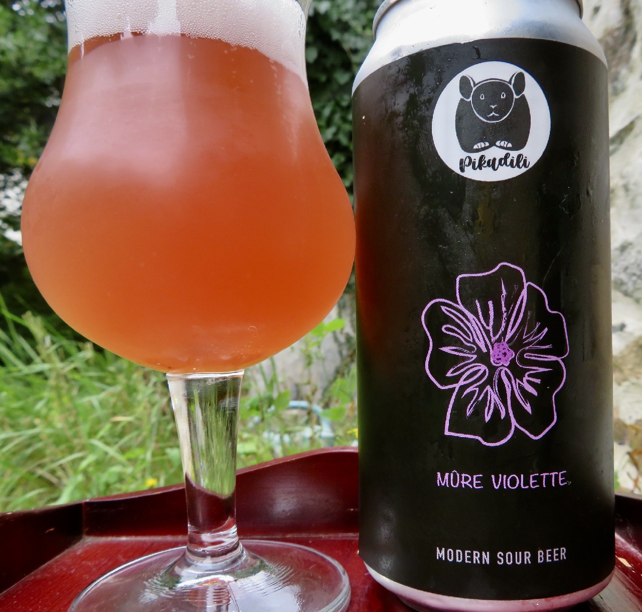 Mûre Violette, France