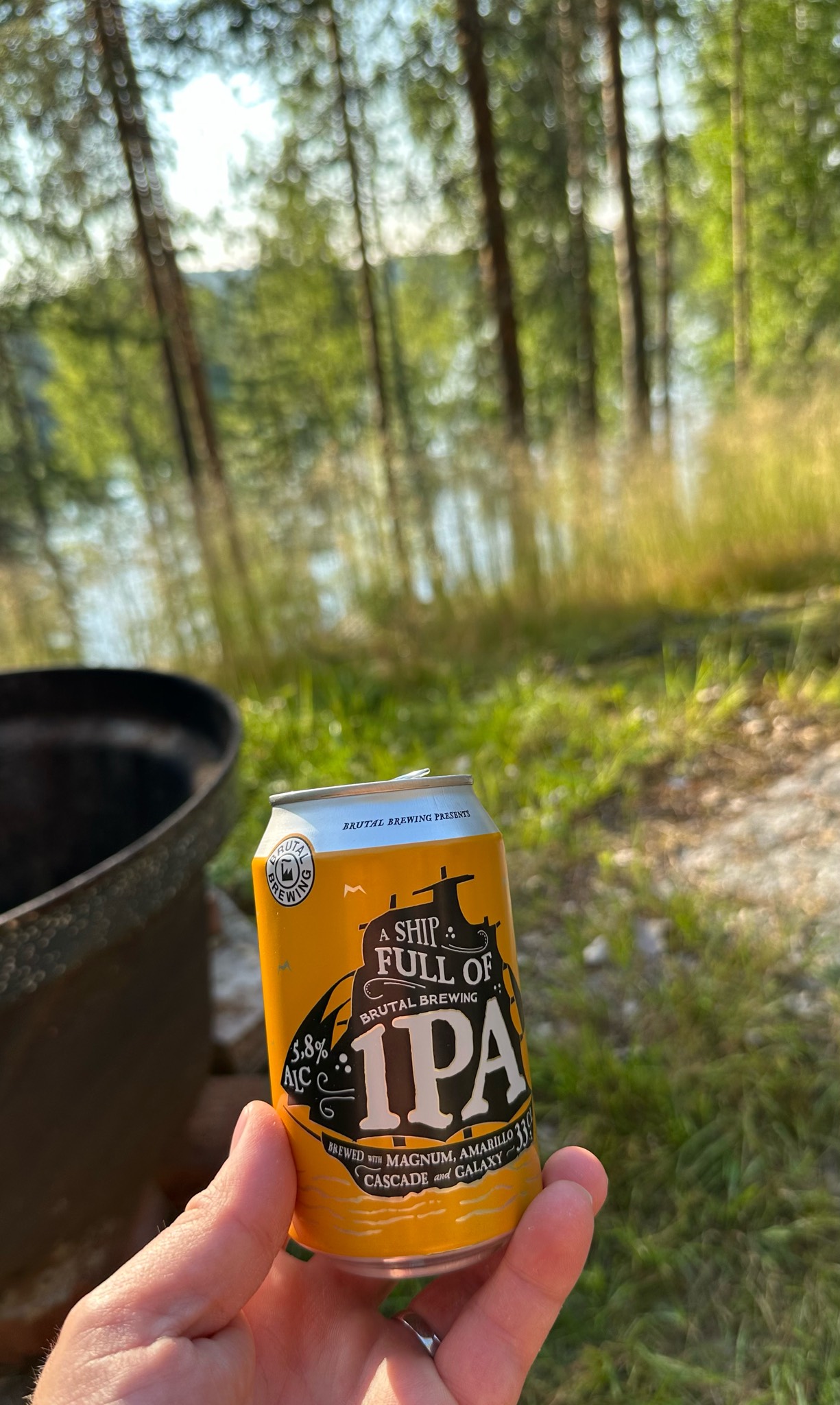 A Ship Full of IPA 5.8%, Sweden