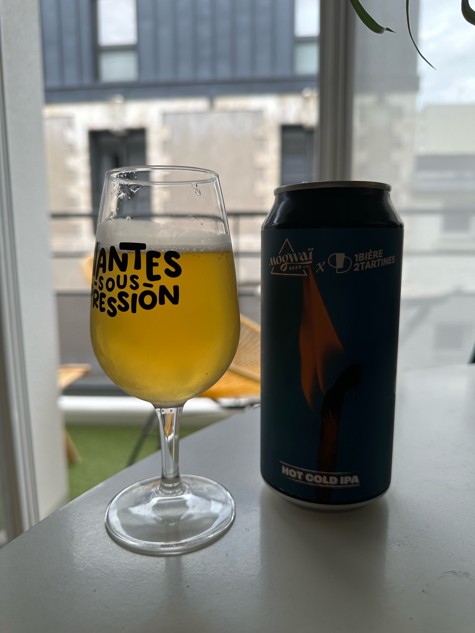 Pyrokinesis For Dummies, France