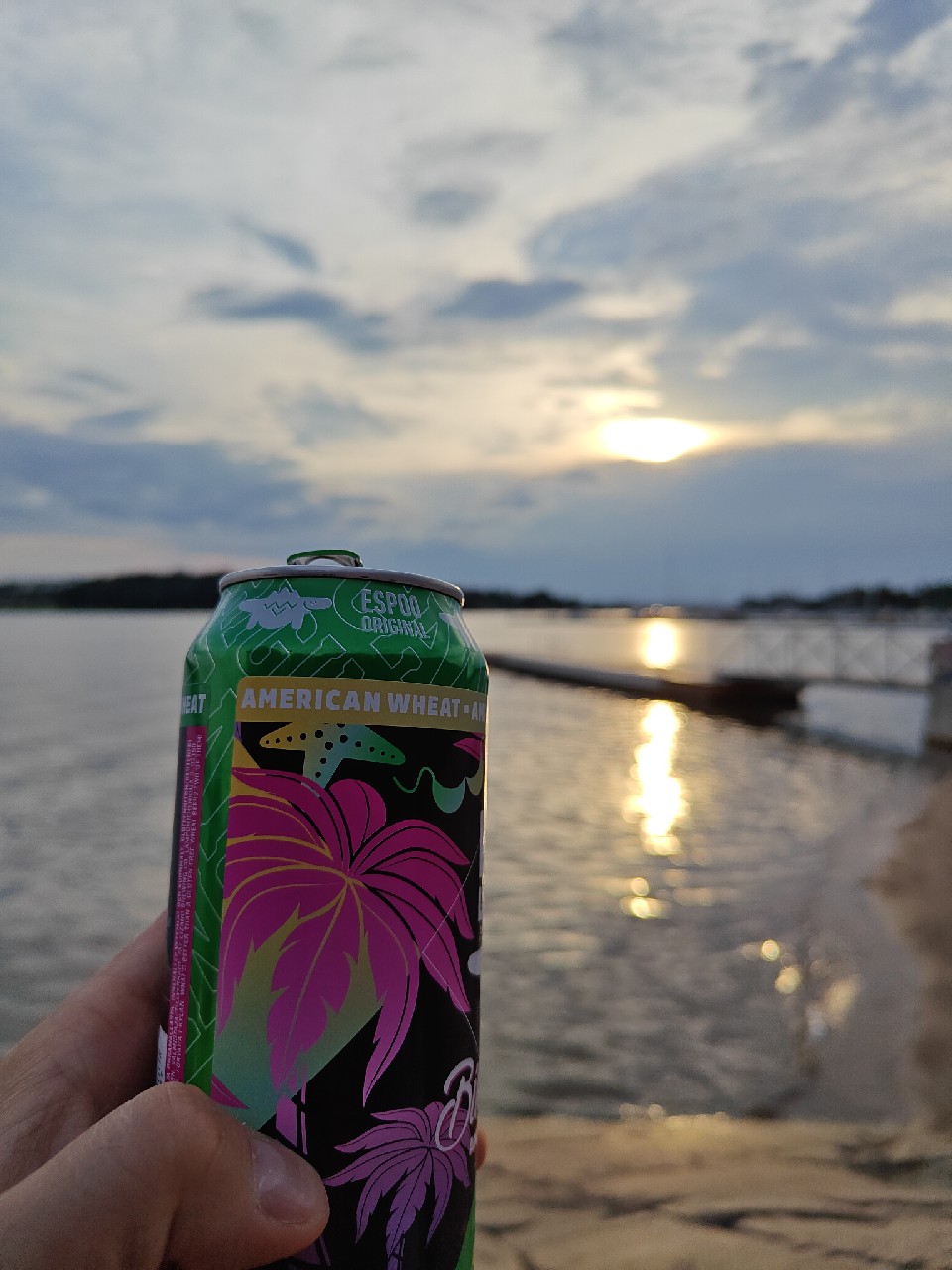 Bikini Top, Fat Lizard Brewing Co.