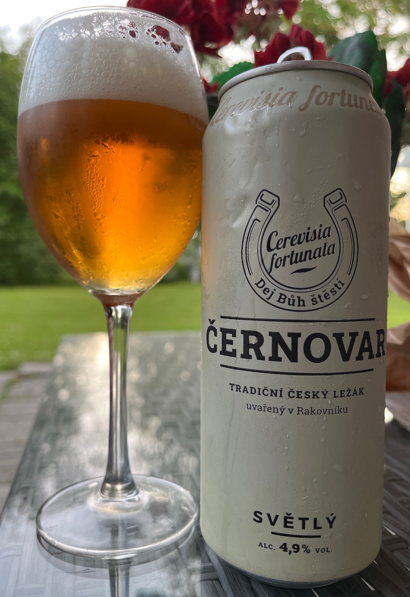 Černovar Světlý, Czech Republic