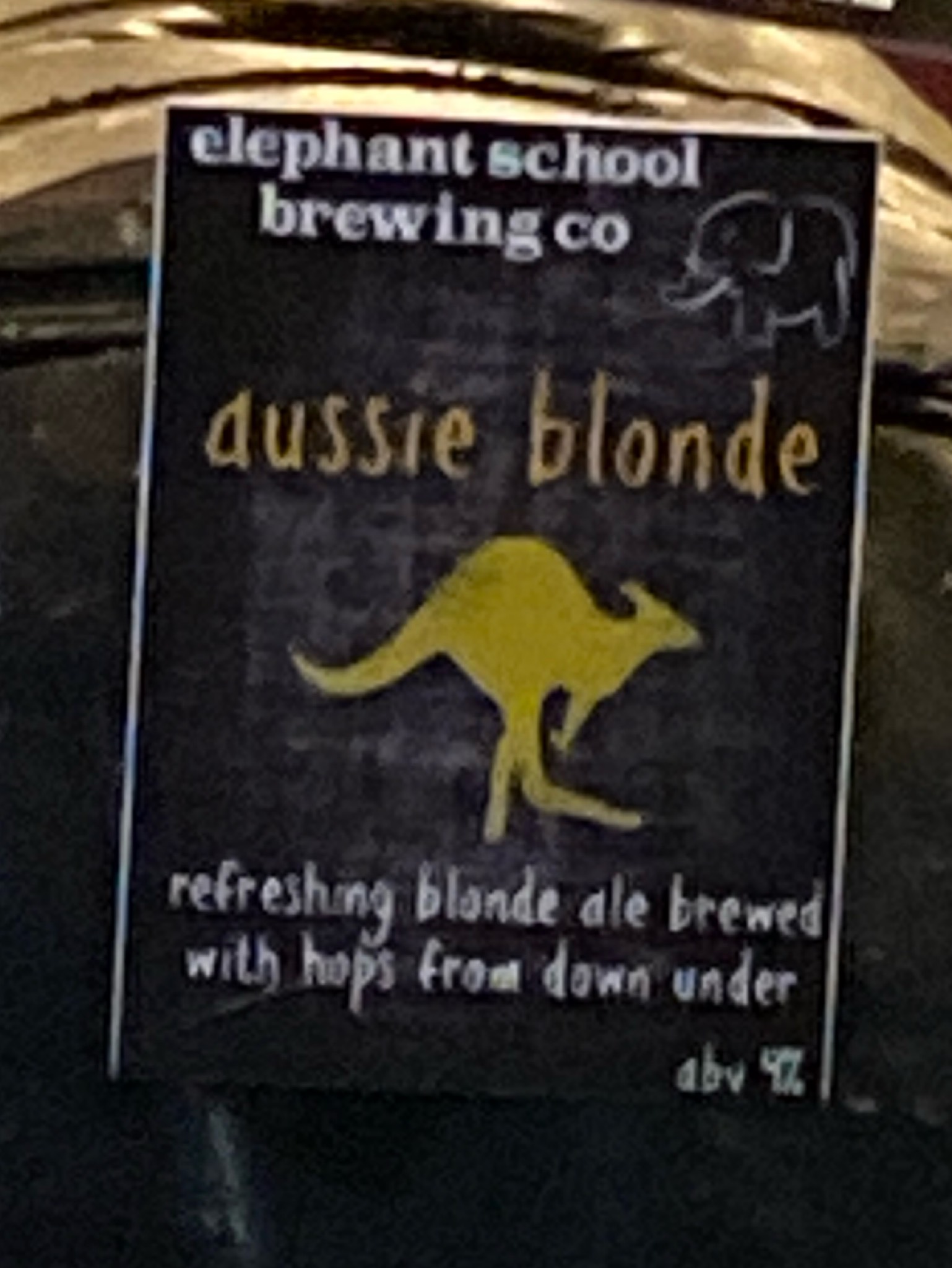 Aussie Blonde, Elephant School