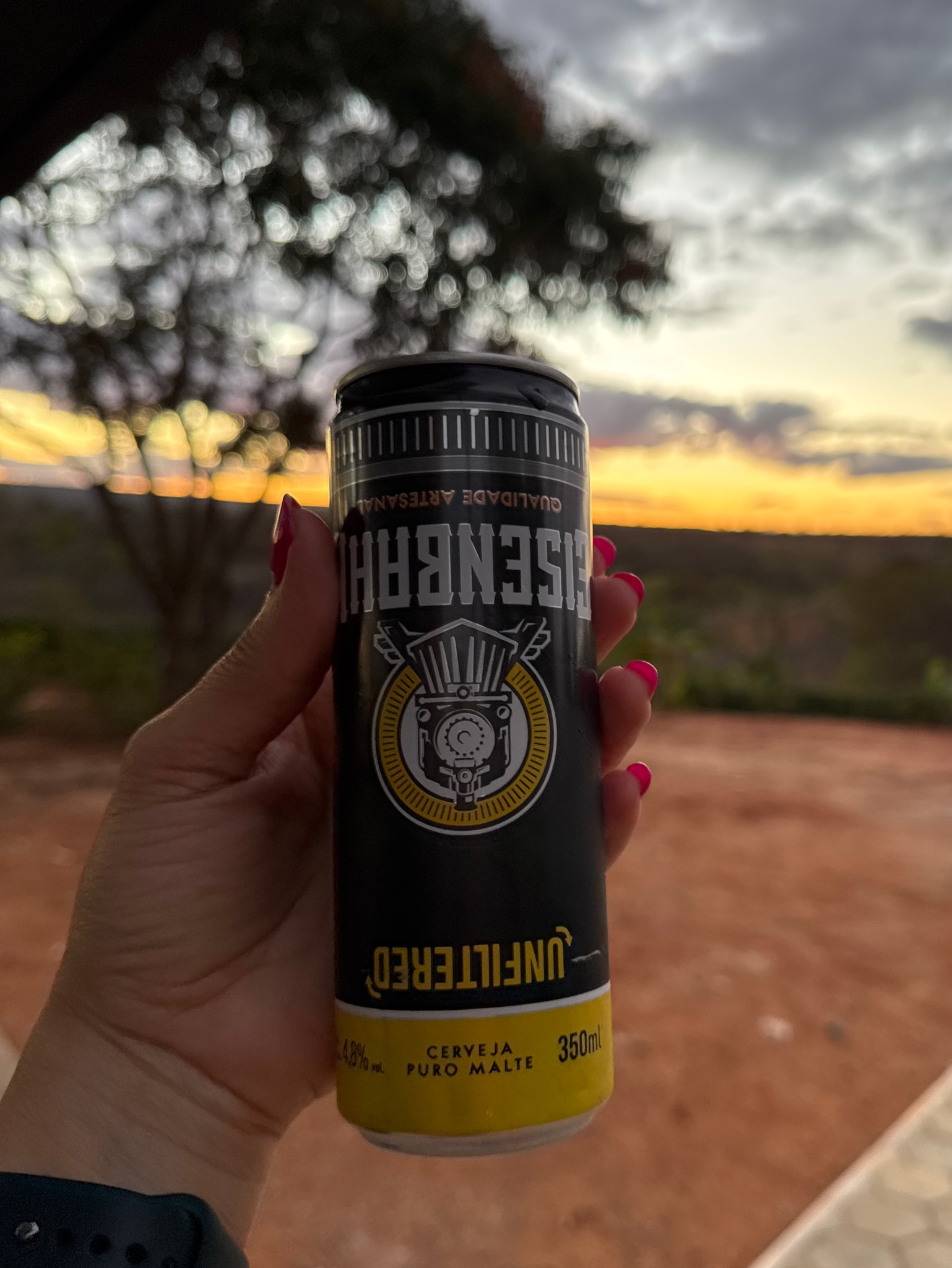 Eisenbahn Pilsen Unfiltered, Brazil