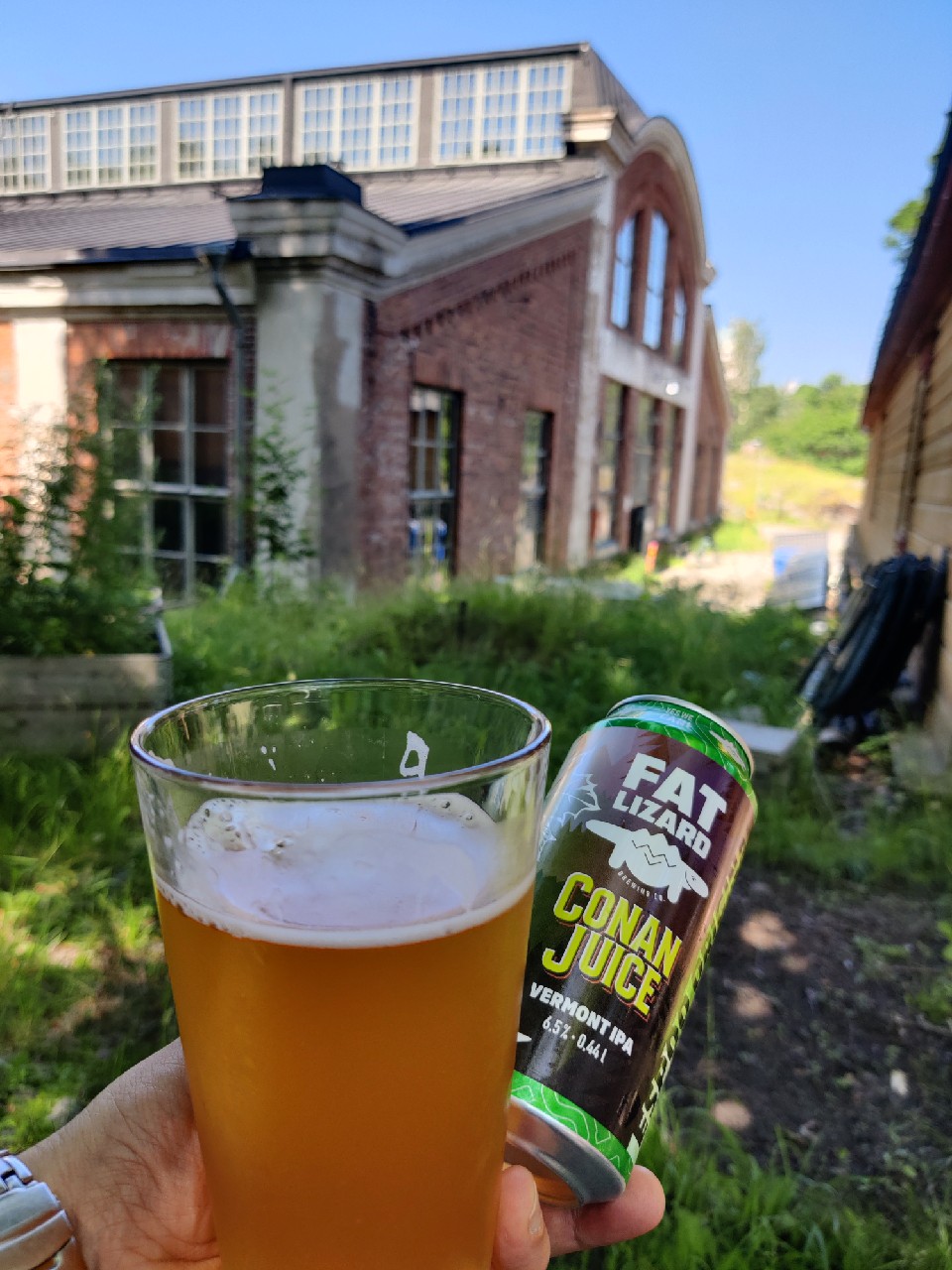 Conan Juice, Fat Lizard Brewing Co.