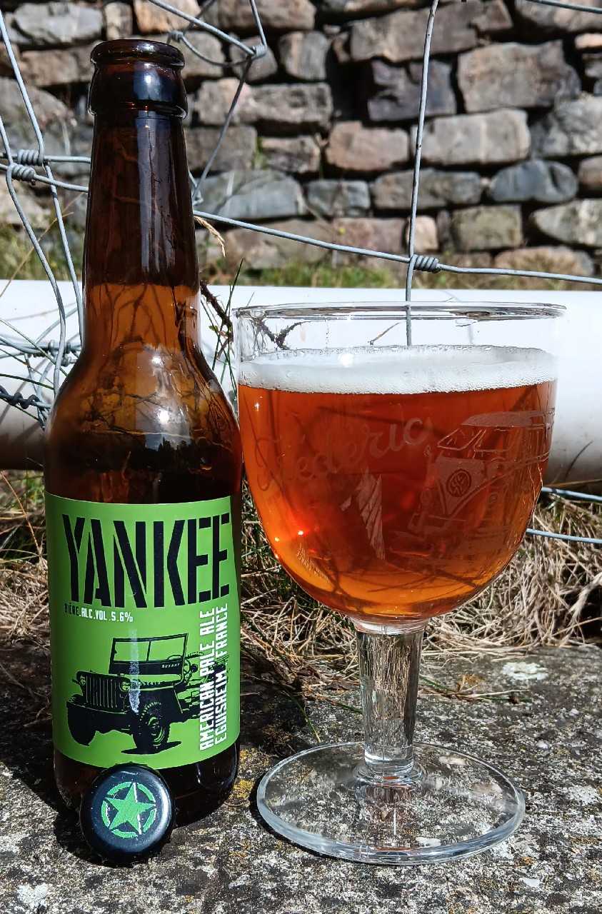 Yankee, Timothy's le brasseur du pape