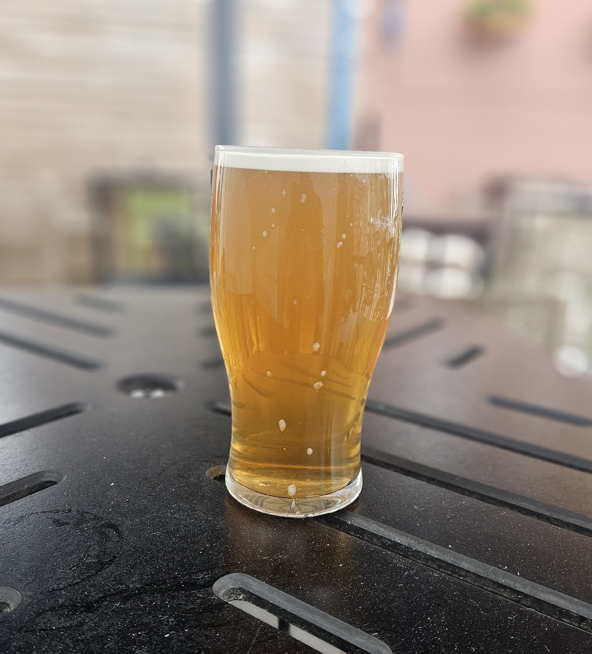 Downfall, Rebellion Beer