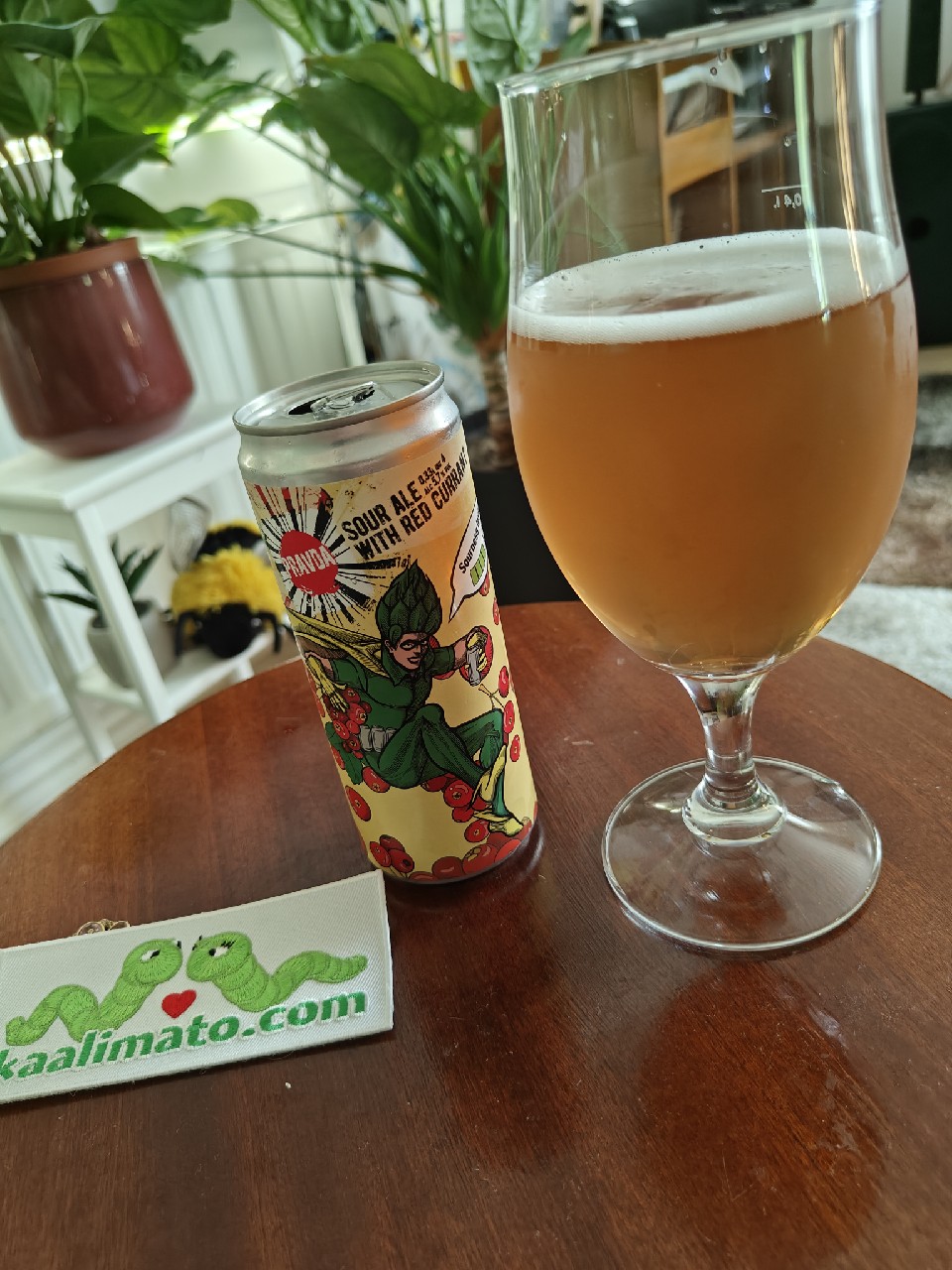 Sour ale with red currant, Ukraine