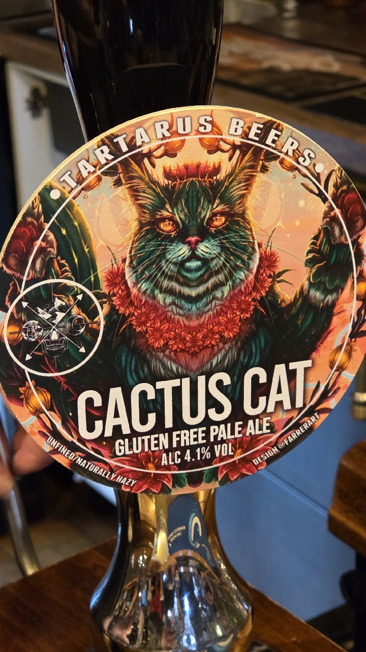 cactus cat, England