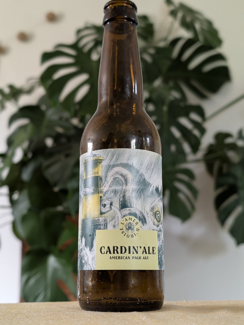 La Cardin'Ale, L'Amer D'Iroise