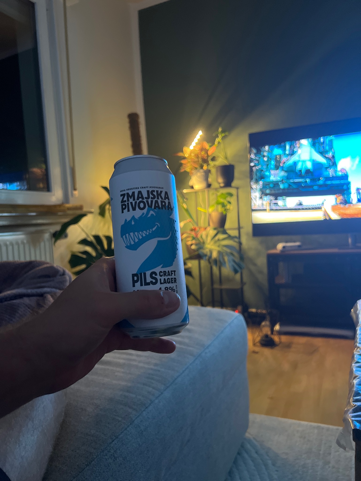 Zmajska Pivovara Pils, Zmajska Pivovara